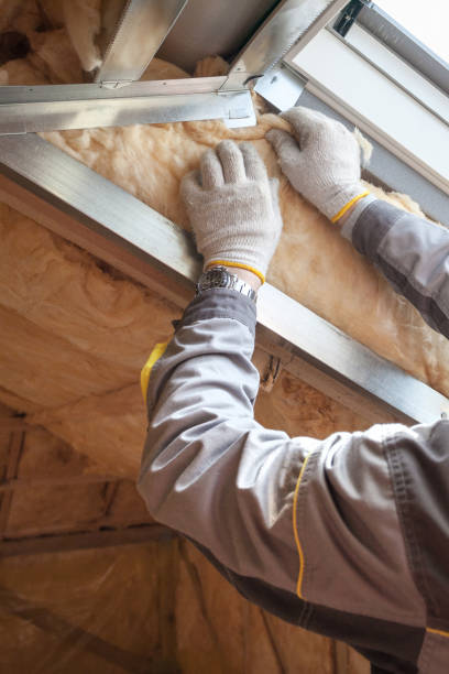 Best Types of Insulation in Chisholm, ME