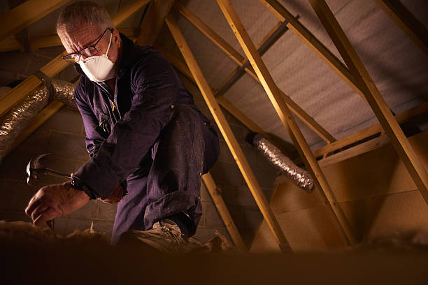 Best Types of Insulation in Chisholm, ME